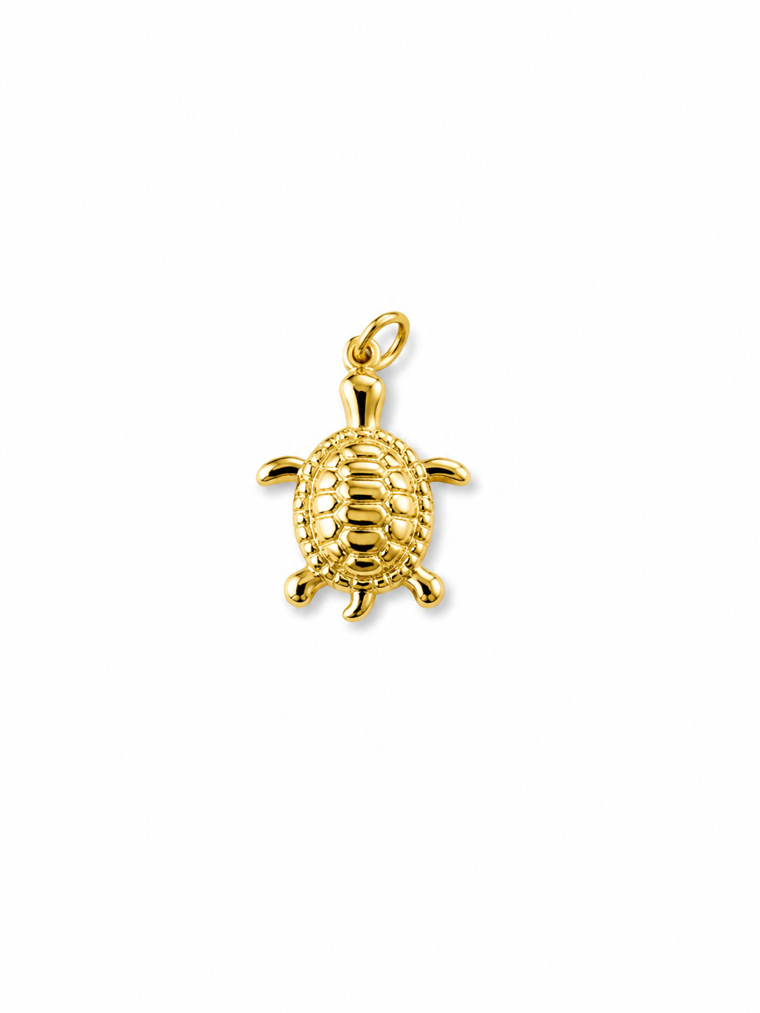Gold Sea turtle Charm